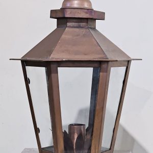 The Orleans - Electric